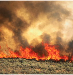 Crews battle brush fire in Chula Vista
