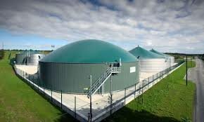 Biogas Power Plants market