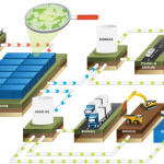Biomass energy technology and equipment market
