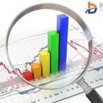 Global Olive Oil Market