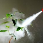 Foliar Spray Market