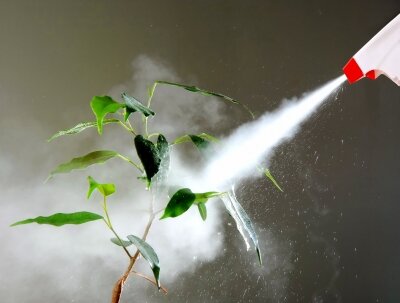Global Foliar Spray Market Industry Size, Demand Analysis, Growth Rate and 2025 Forecast